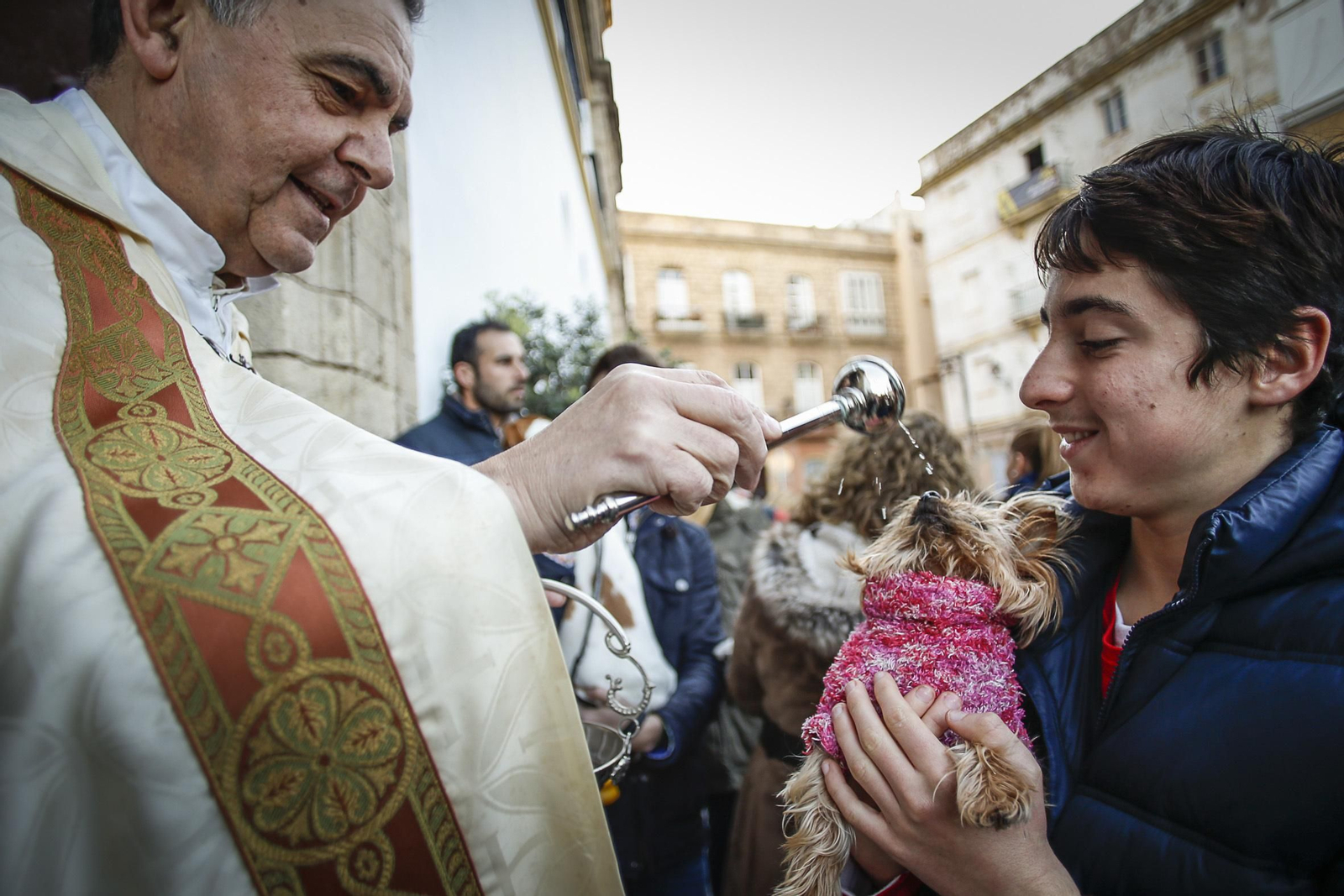 Bendición de animales en Santo Domingo