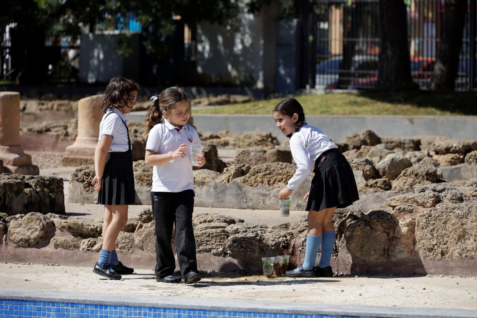 La IX Jornada de la Ciencia se celebra en el Colegio María Auxiliadora de Cádiz (Salesianas).