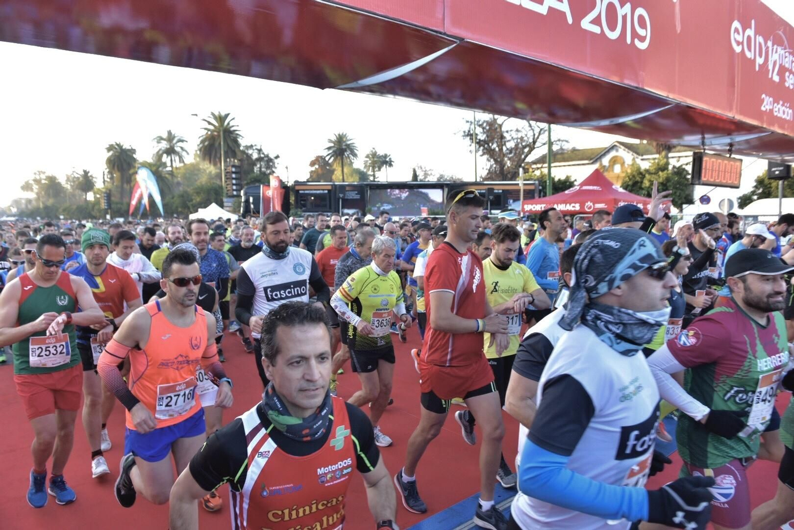 Las mejores imágenes de la Media Maratón de Sevilla 2019