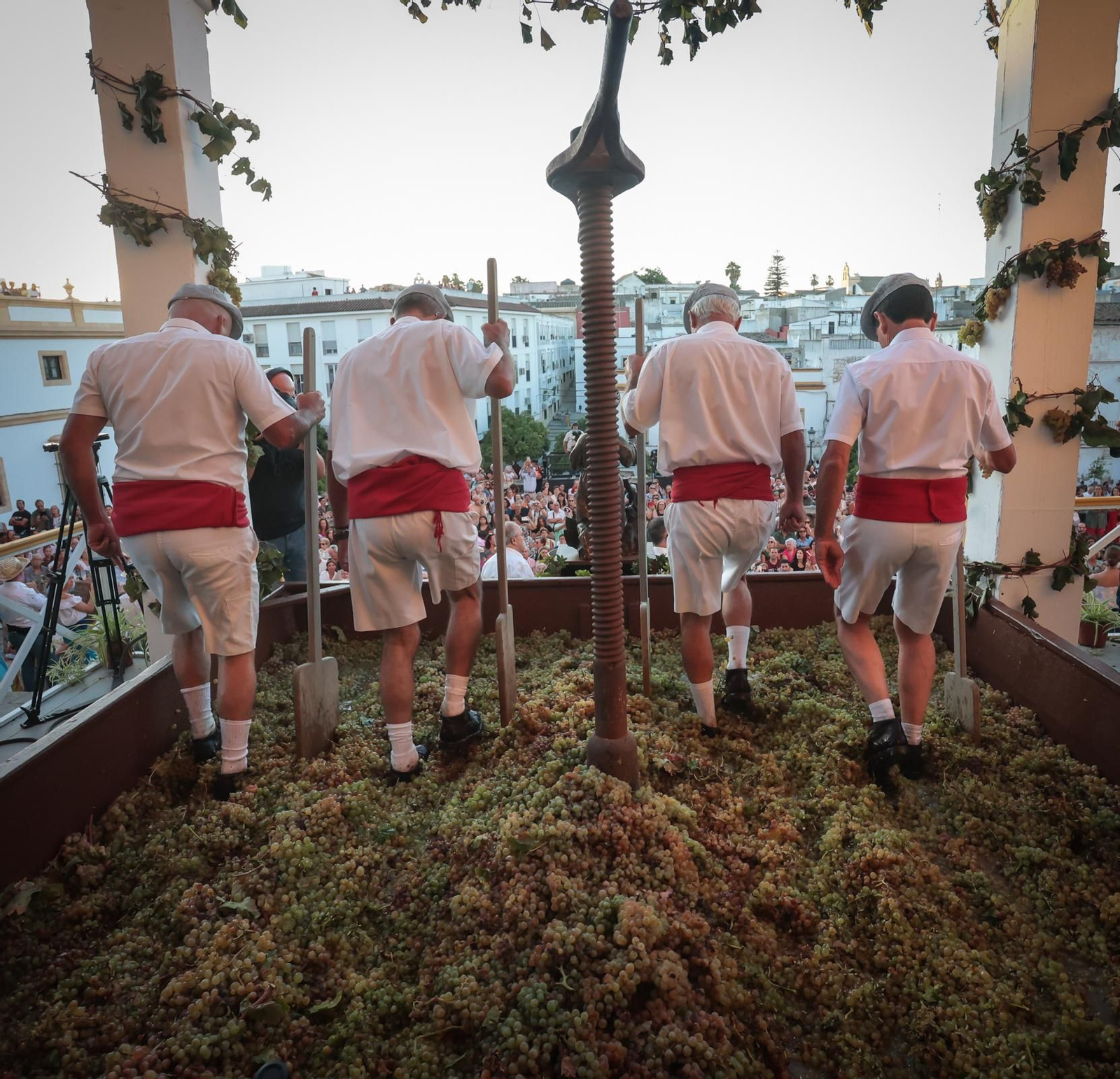 Imágenes de la Pisa de la Uva en la Catedral de Jerez