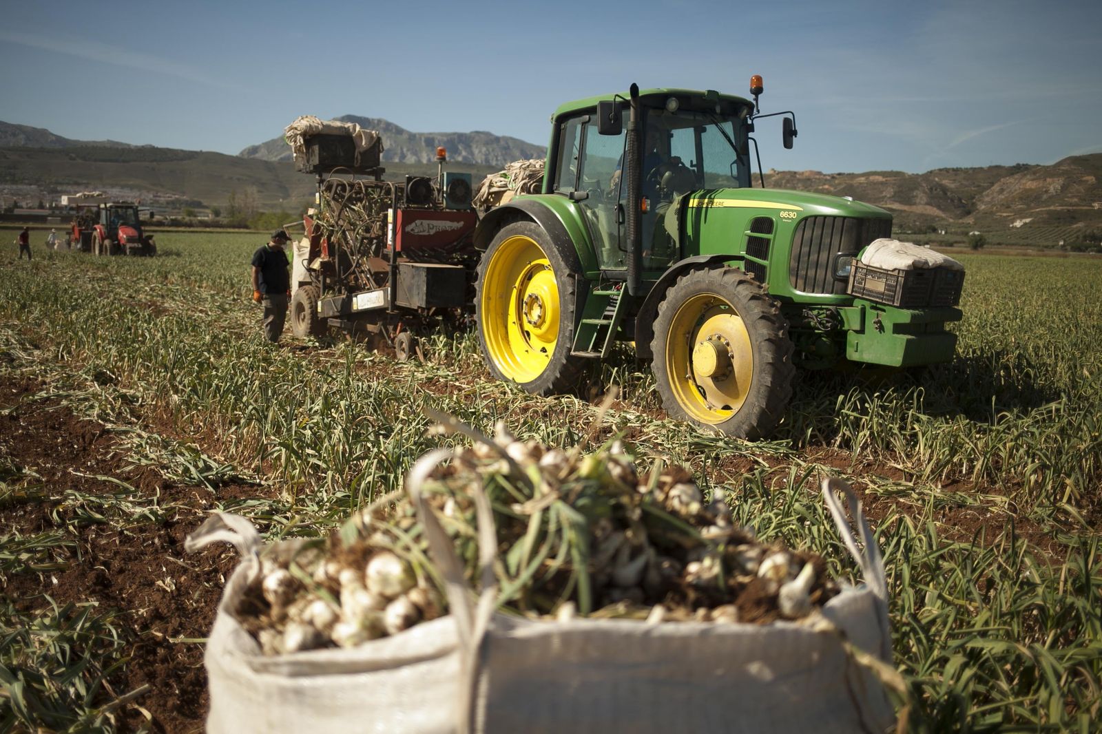 Imagen de archivo de una explotación ajera.