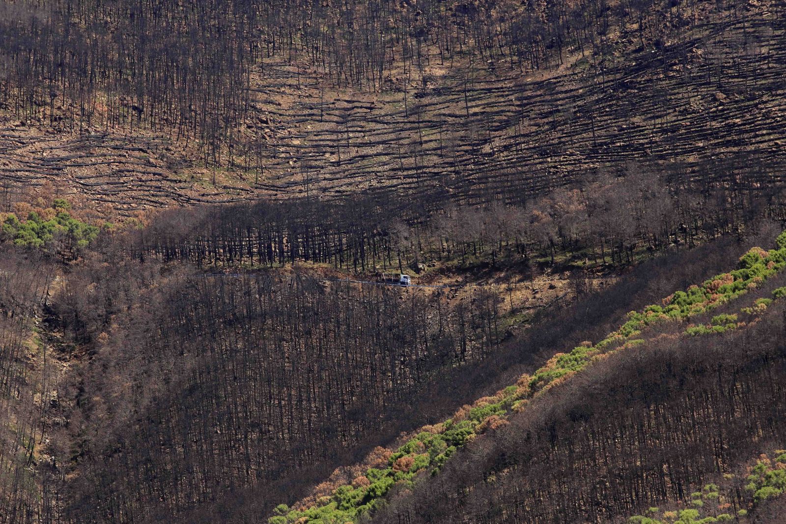 Un año del gran incendio de Sierra Bermeja, en fotos.