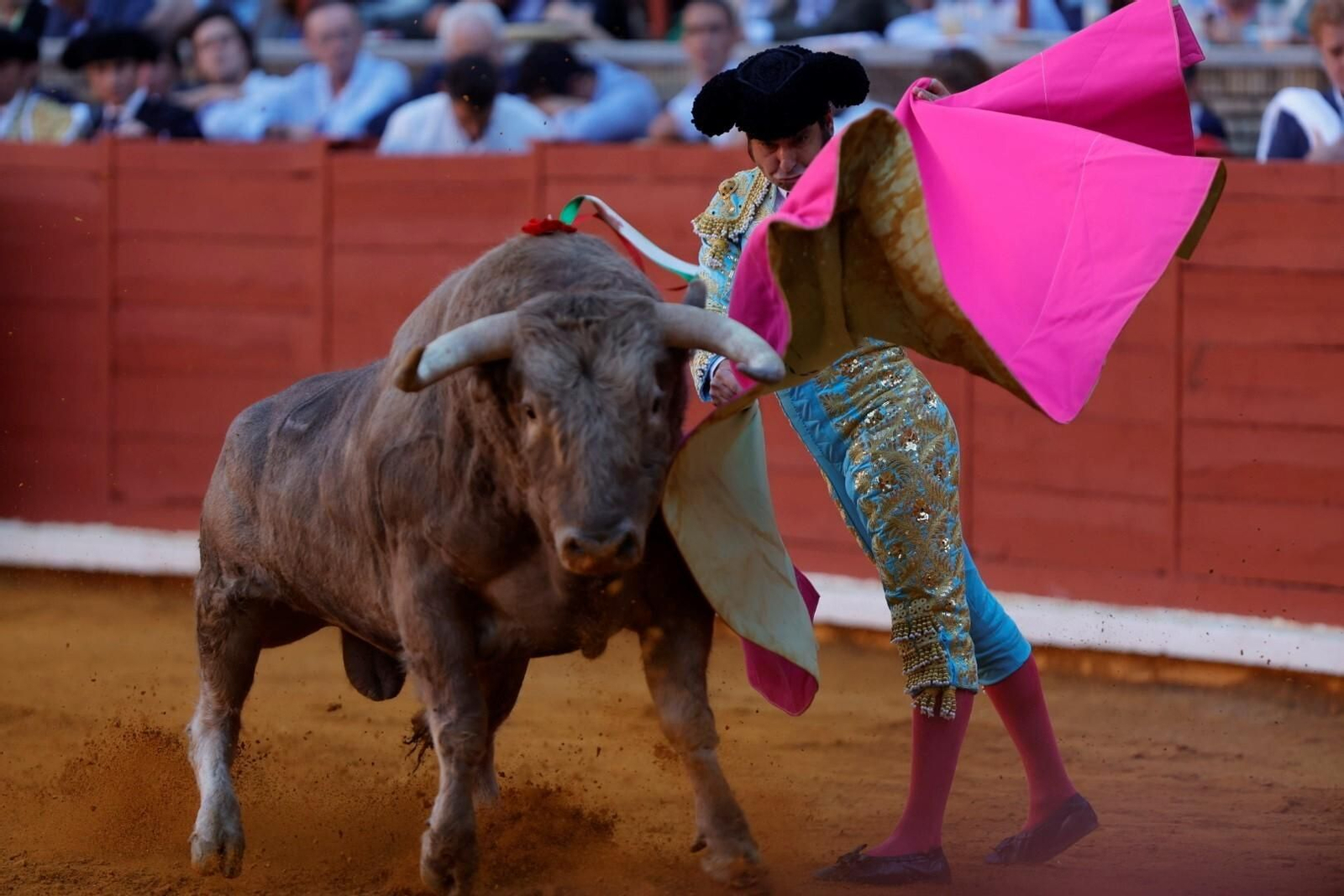 Las imágenes de la corrida de Ventura, Morante y Román en la Feria Taurina de Córdoba