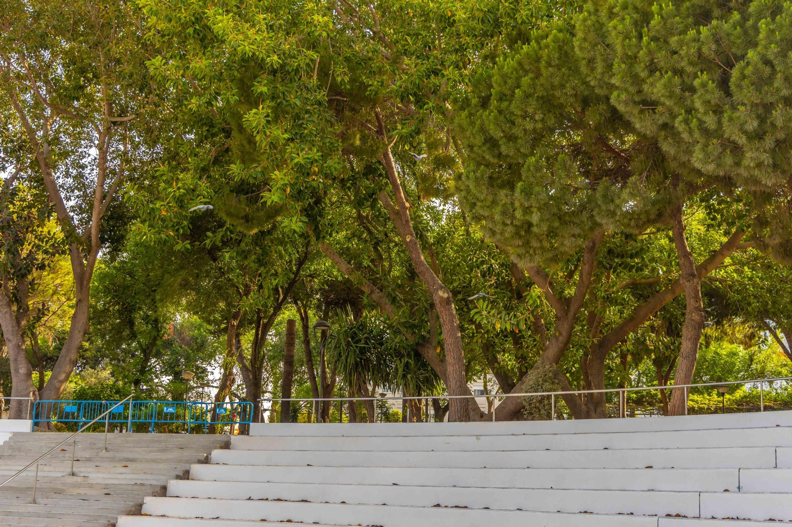 Zona del auditorio del parque Almirante Laulhé, en San Fernando, donde el Ayuntamiento ejecuta obras de mejora Zona del auditorio del parque Almirante Laulhé, en San Fernando, donde el Ayuntamiento ejecuta obras de mejora