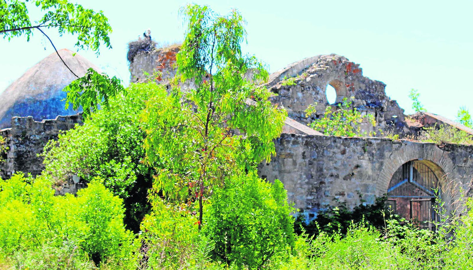 La ermita de San Ambrosio, casi invadida por la vegetación que crece sin control, en una fotografía tomada en junio de 2016.
