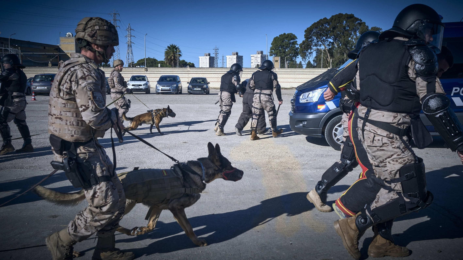 Maniobras Canex con unidades caninas de las Fuerzas Armadas, Policía y Guardia Civil