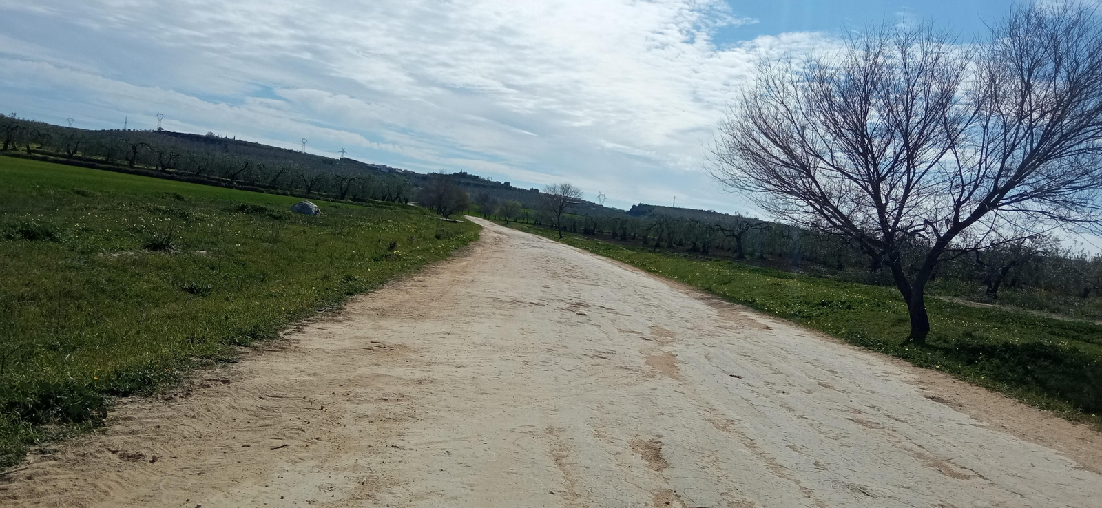 Las imágenes de la ruta de la dehesa de Albaida del Aljarafe