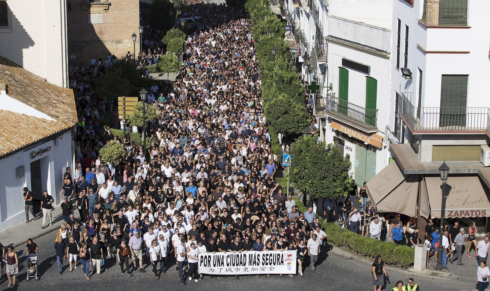 Manifestación en Carmona para exigir más seguridad