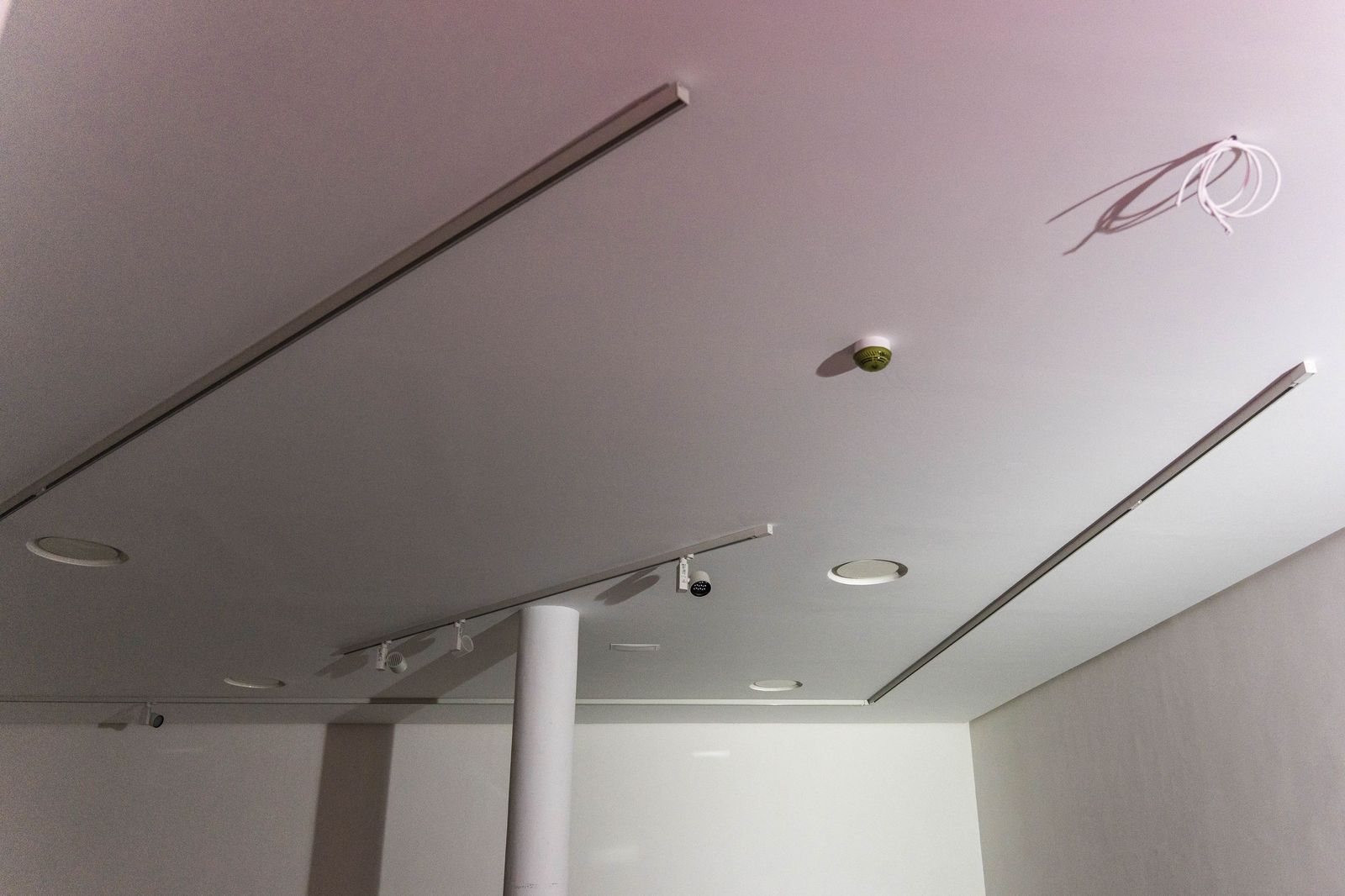 Fotogalería de las obras del Preventorio: el jardín vertical, protagonista de la rehabilitación