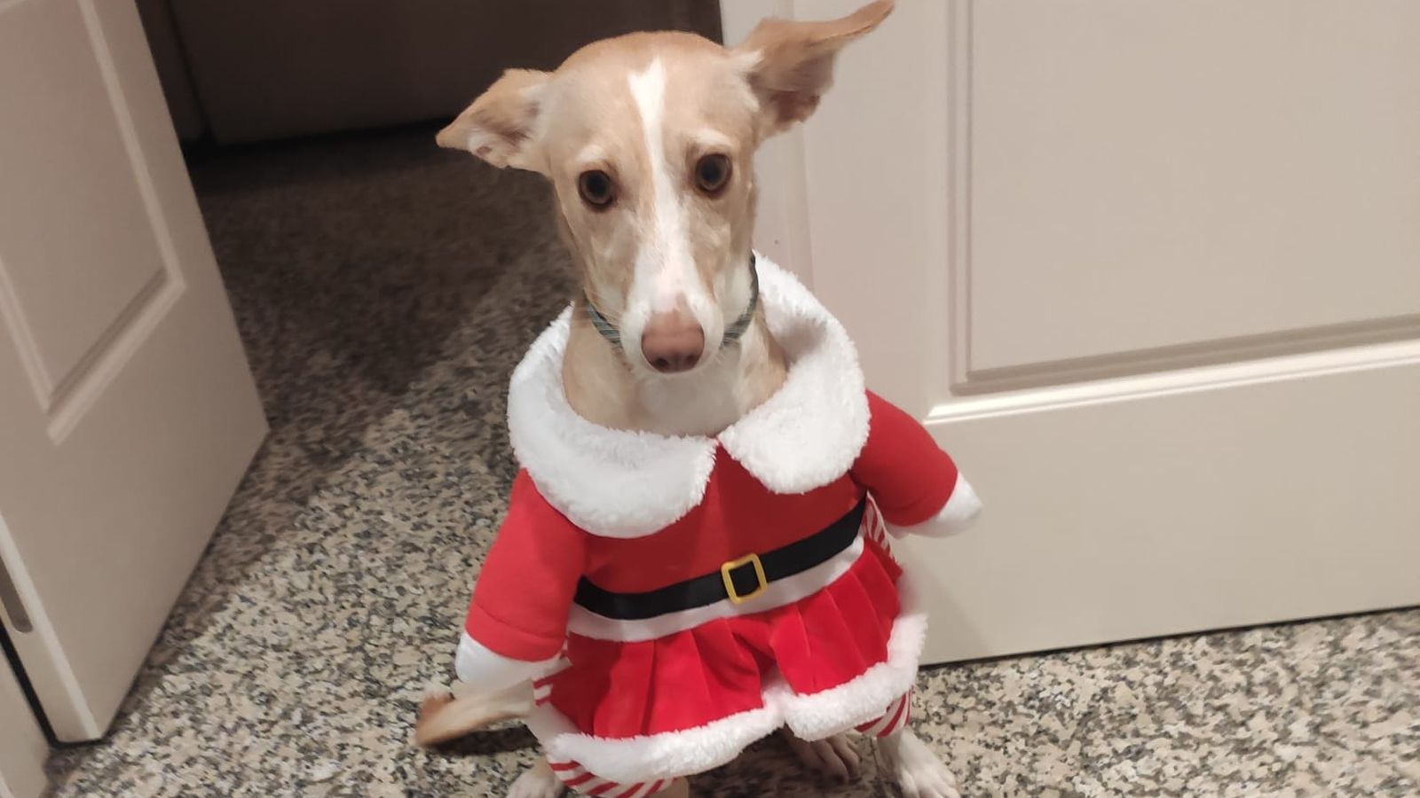 Tina durante las fiestas navideñas.