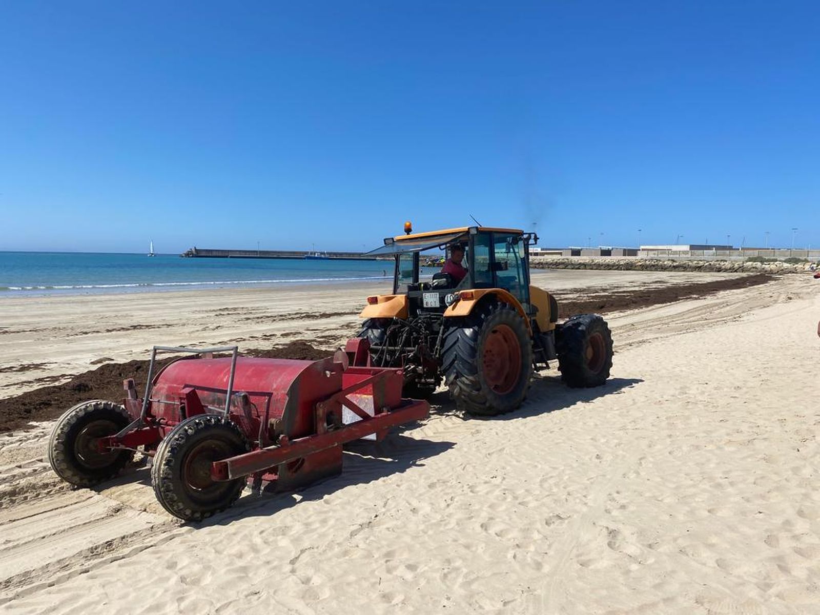 Maquinaria retirando las algas en la playa del Carmen.