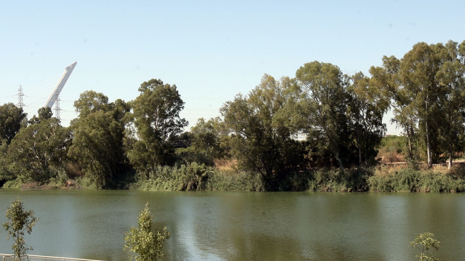 Panorámica del Parque del Alamillo.