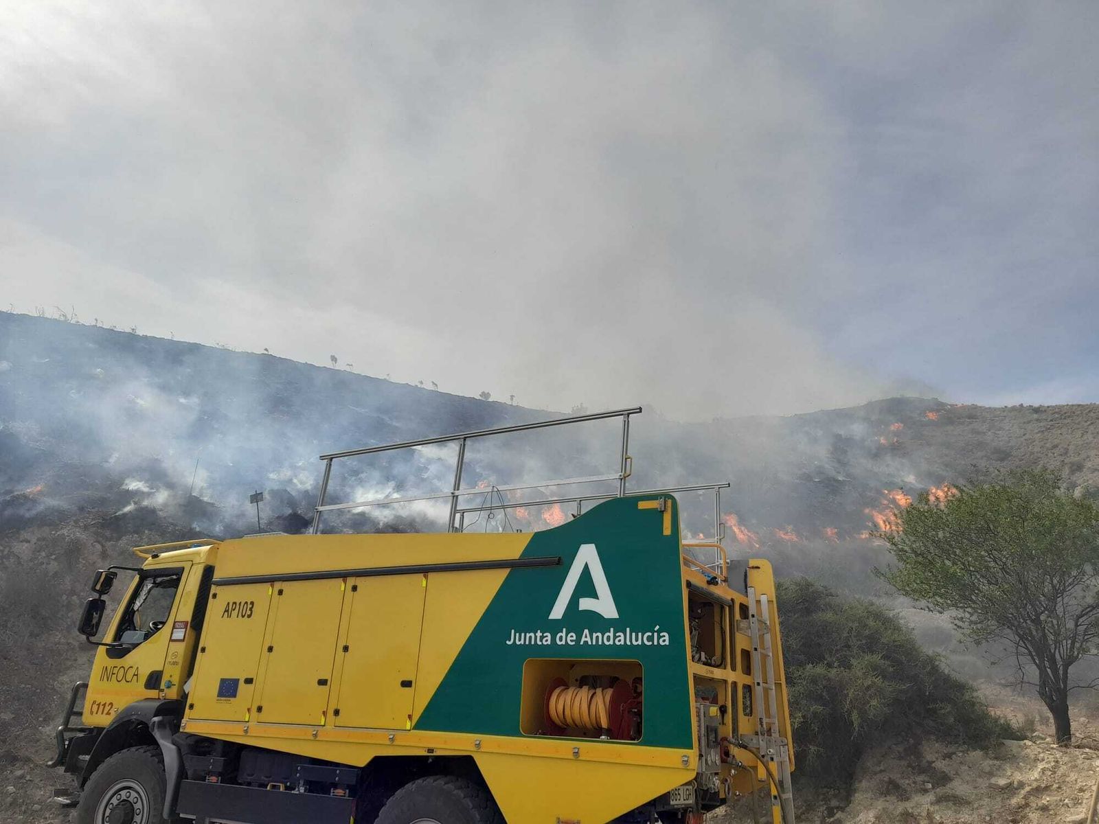 Incendio forestal en Cantoria.