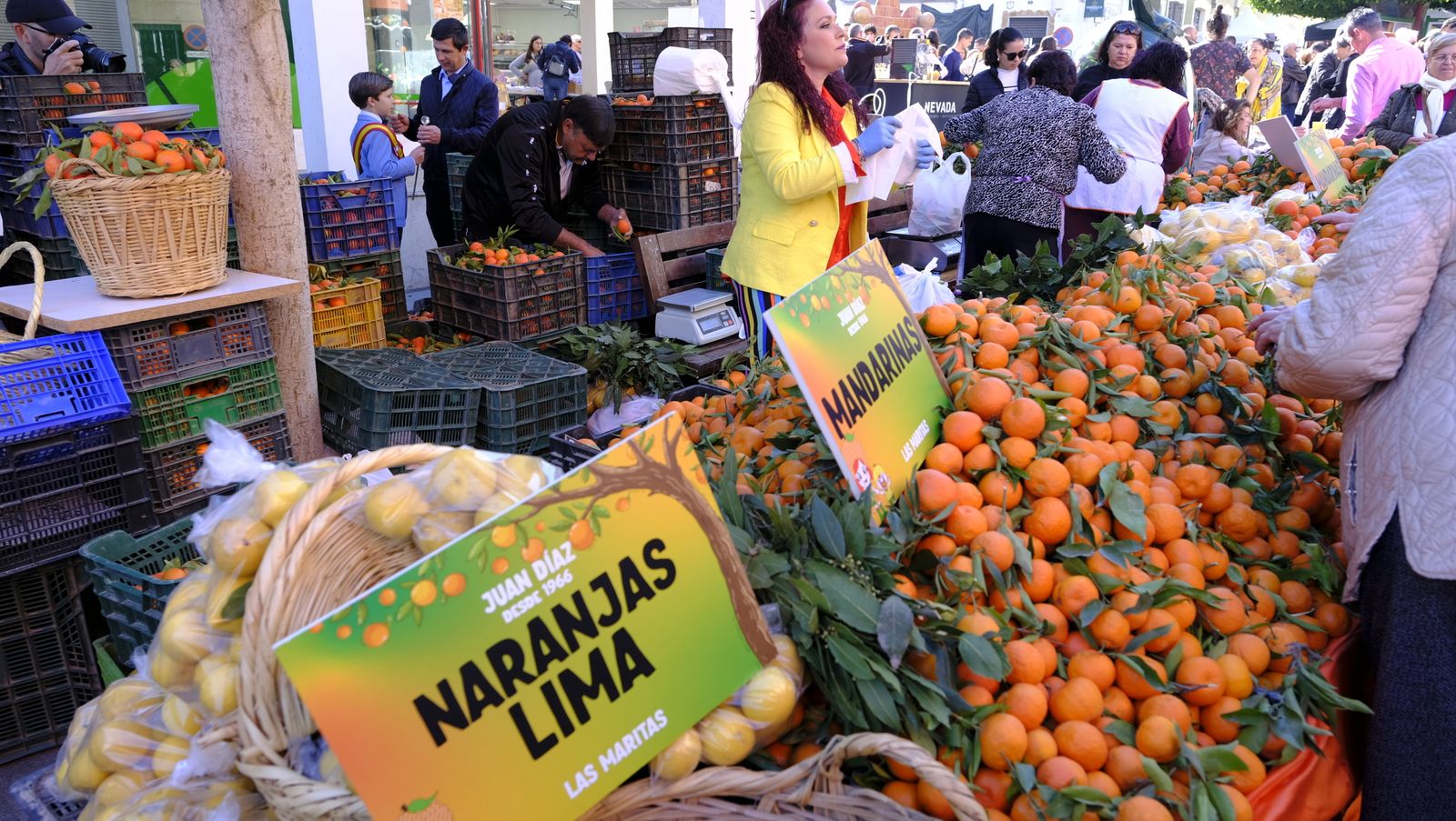 El Día de la Naranja en Gádor, en imágenes