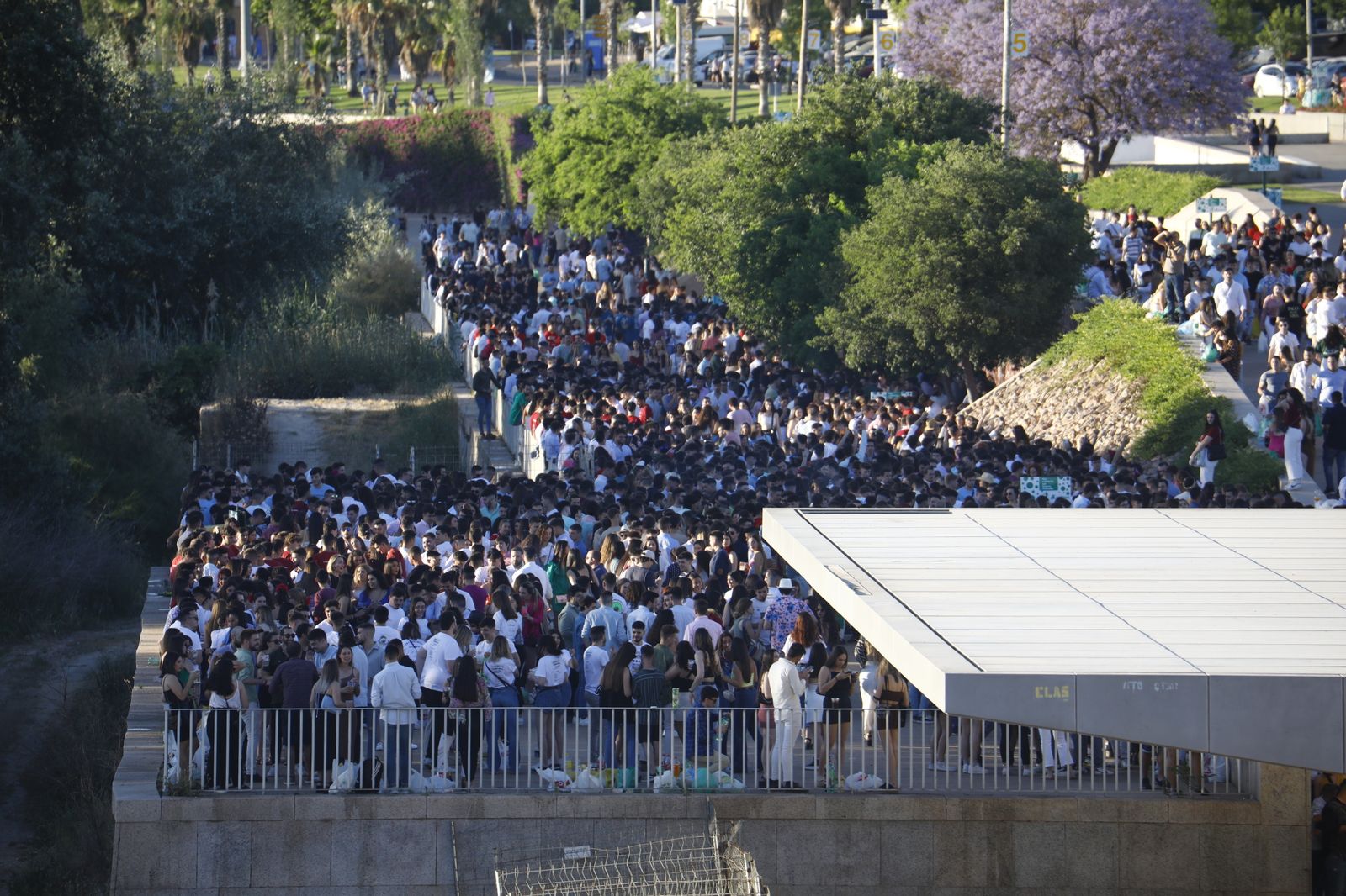 Feria de Córdoba: Las imágenes del botellón multitudinario, en imágenes