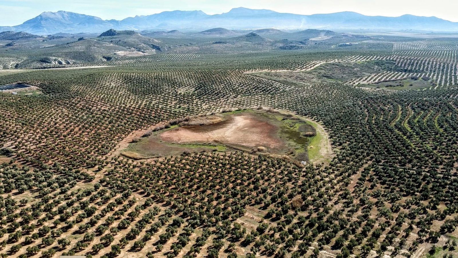 Humedal de Jaén. Humedal de Jaén.