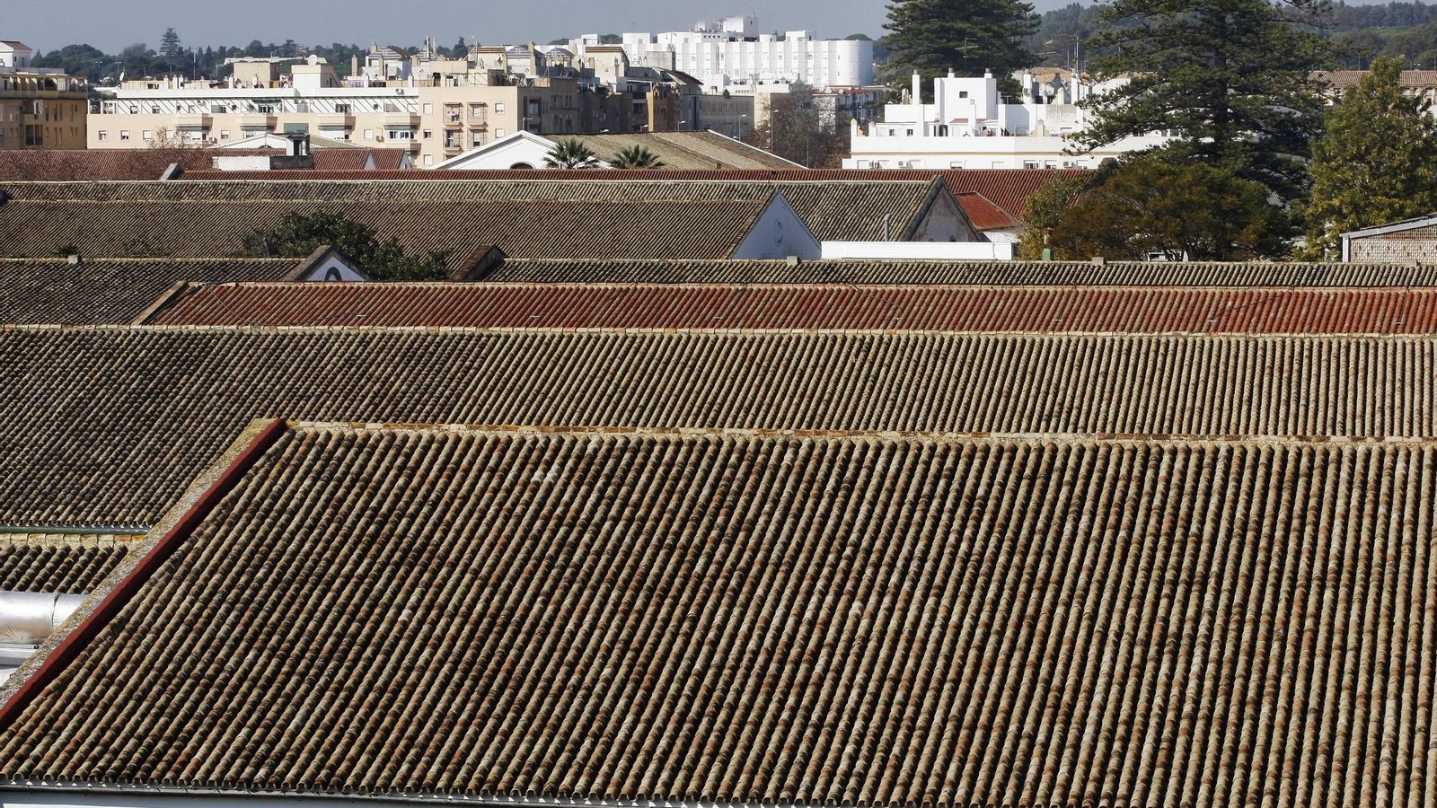 Un detalle de las cubiertas del conjunto bodeguero de Campo de Guía.
