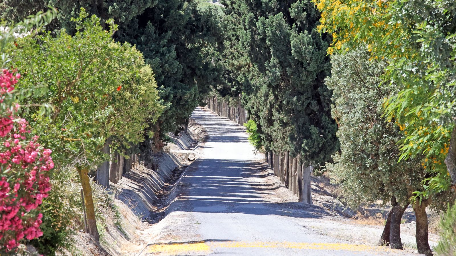 Imágenes de la finca 'El Barrosillo'