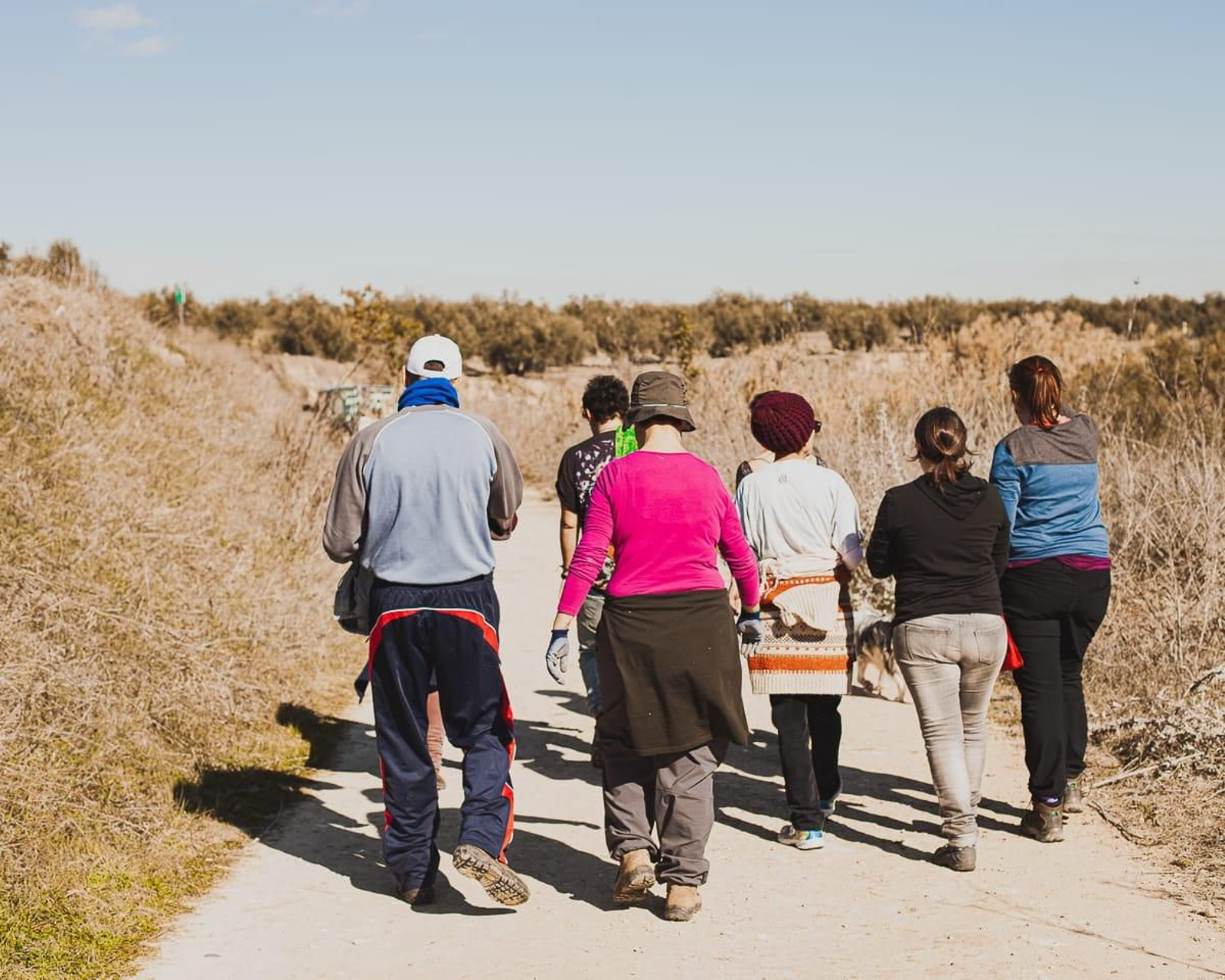 Reforestación en Montilla.