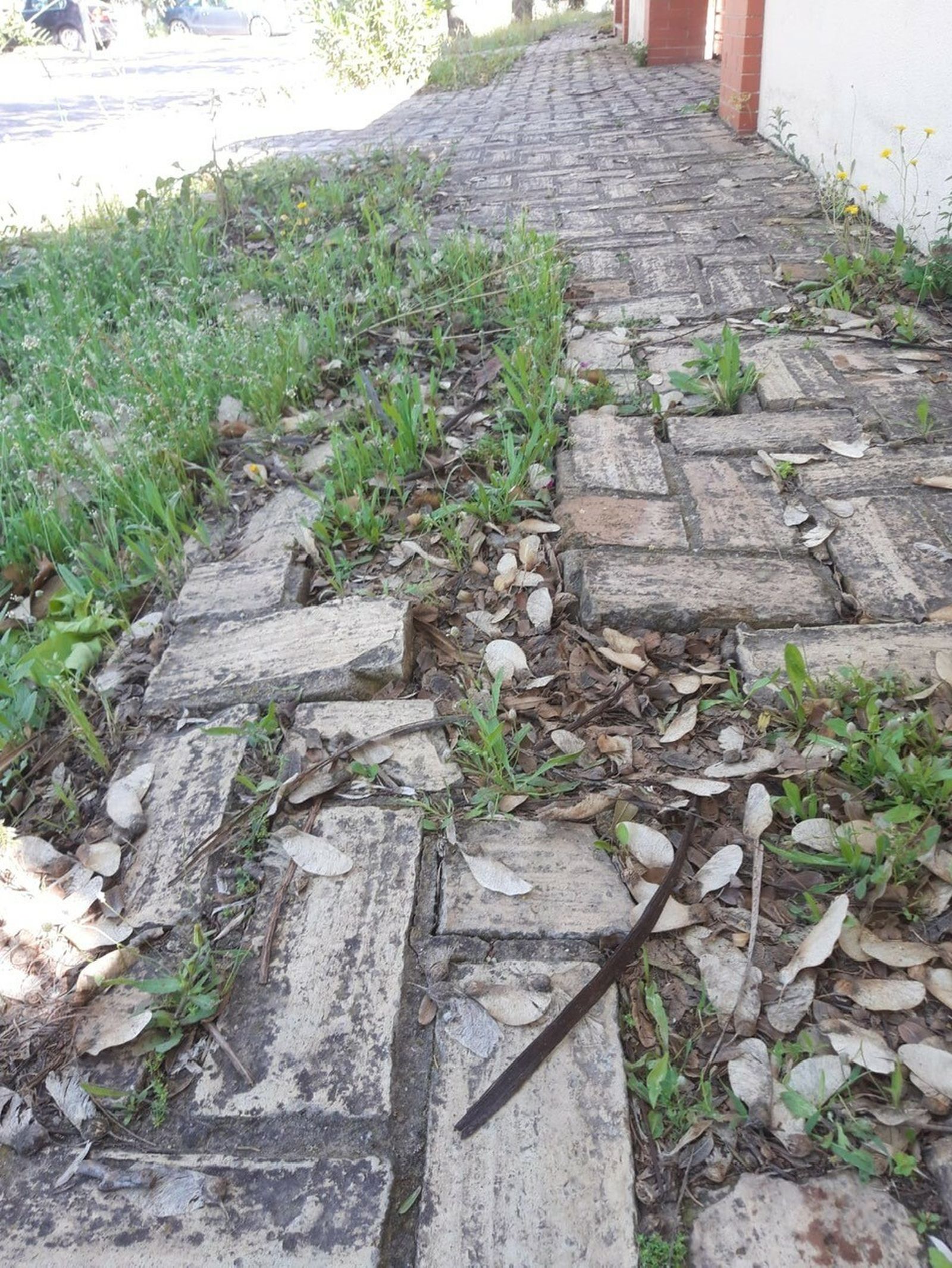 Un detalle del estado de la acera en una de las urbanizaciones.