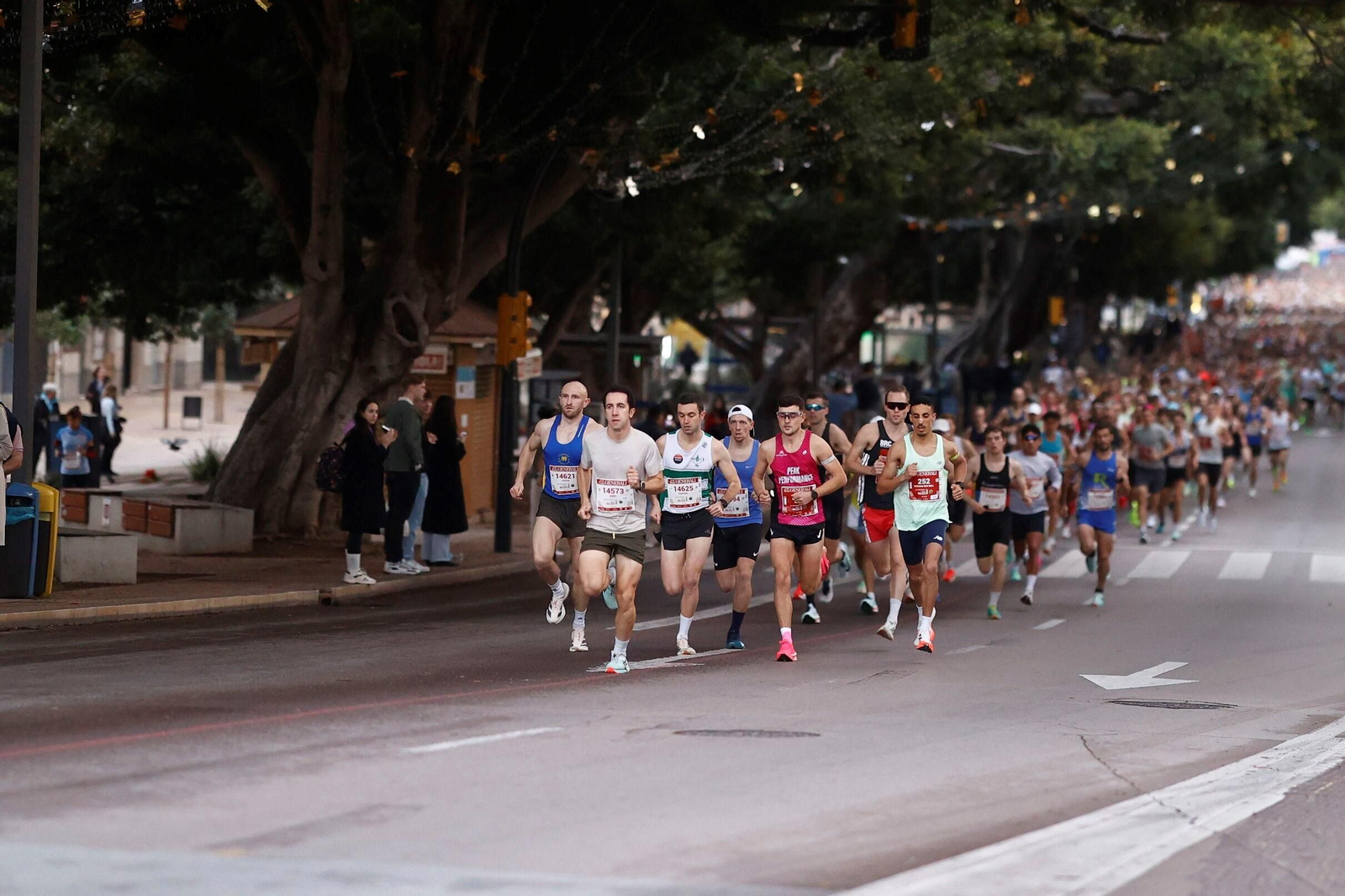 Las fotos de la Maratón de Málaga 2025