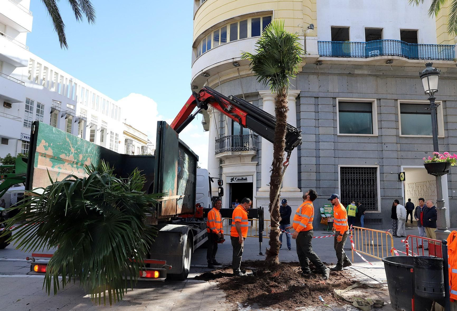 Varios operarios, tras colocar una palmera en la Plaza del Arenal. Varios operarios, tras colocar una palmera en la Plaza del Arenal.