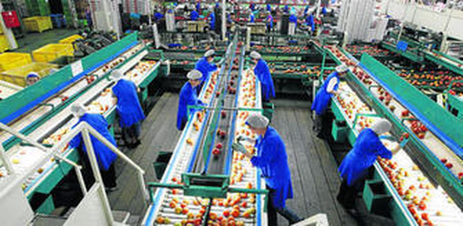 Instalaciones de la sociedad cooperativa Vicasol con sede central en el municipio de Vícar.