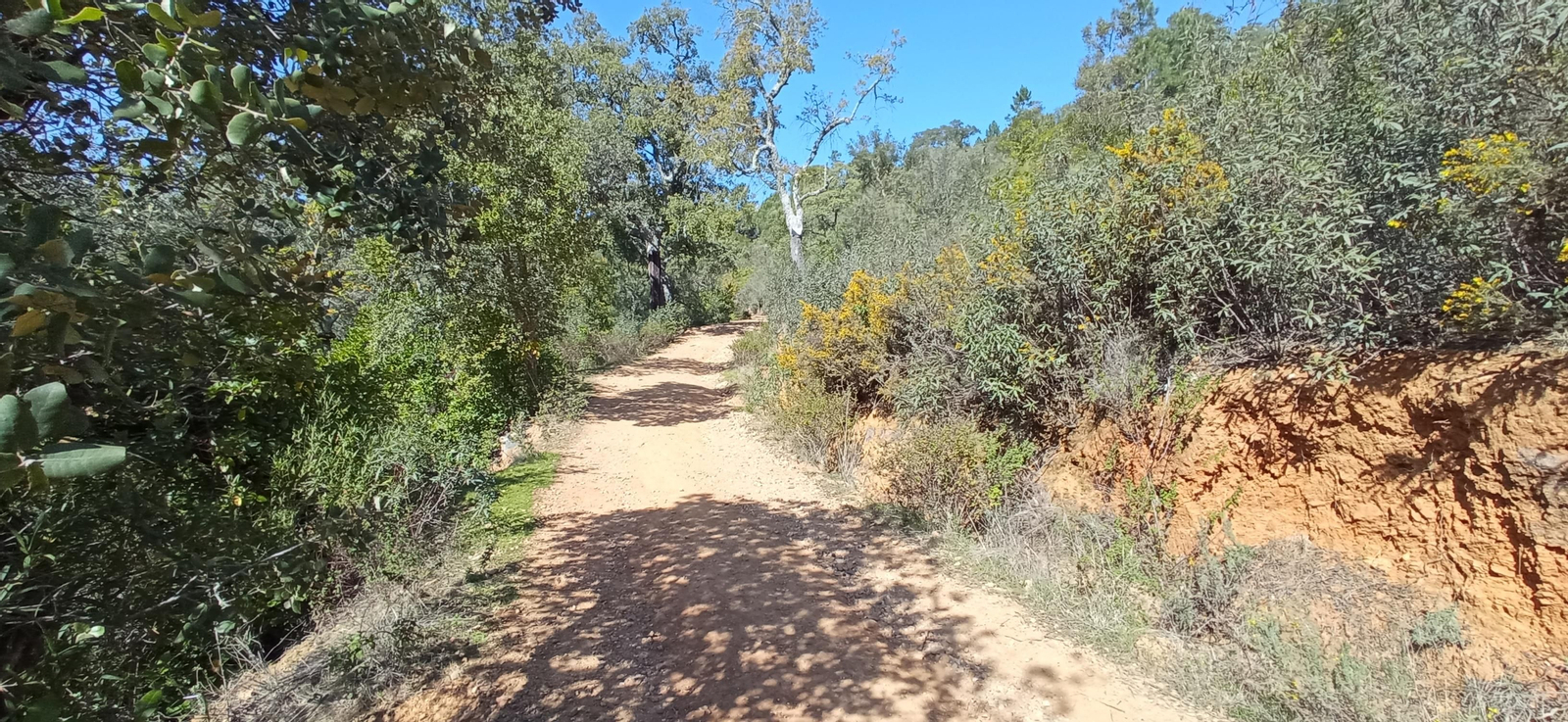 Las imágenes de la ruta de la cascada de Jollarancos y bosque de las letras