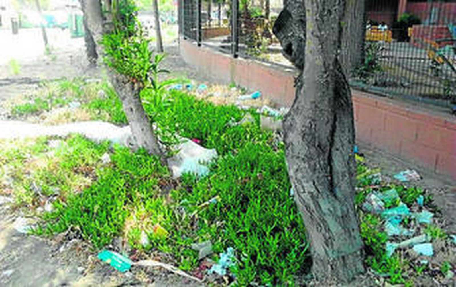 La suciedad se acumula en la barriada de San Joaquín.