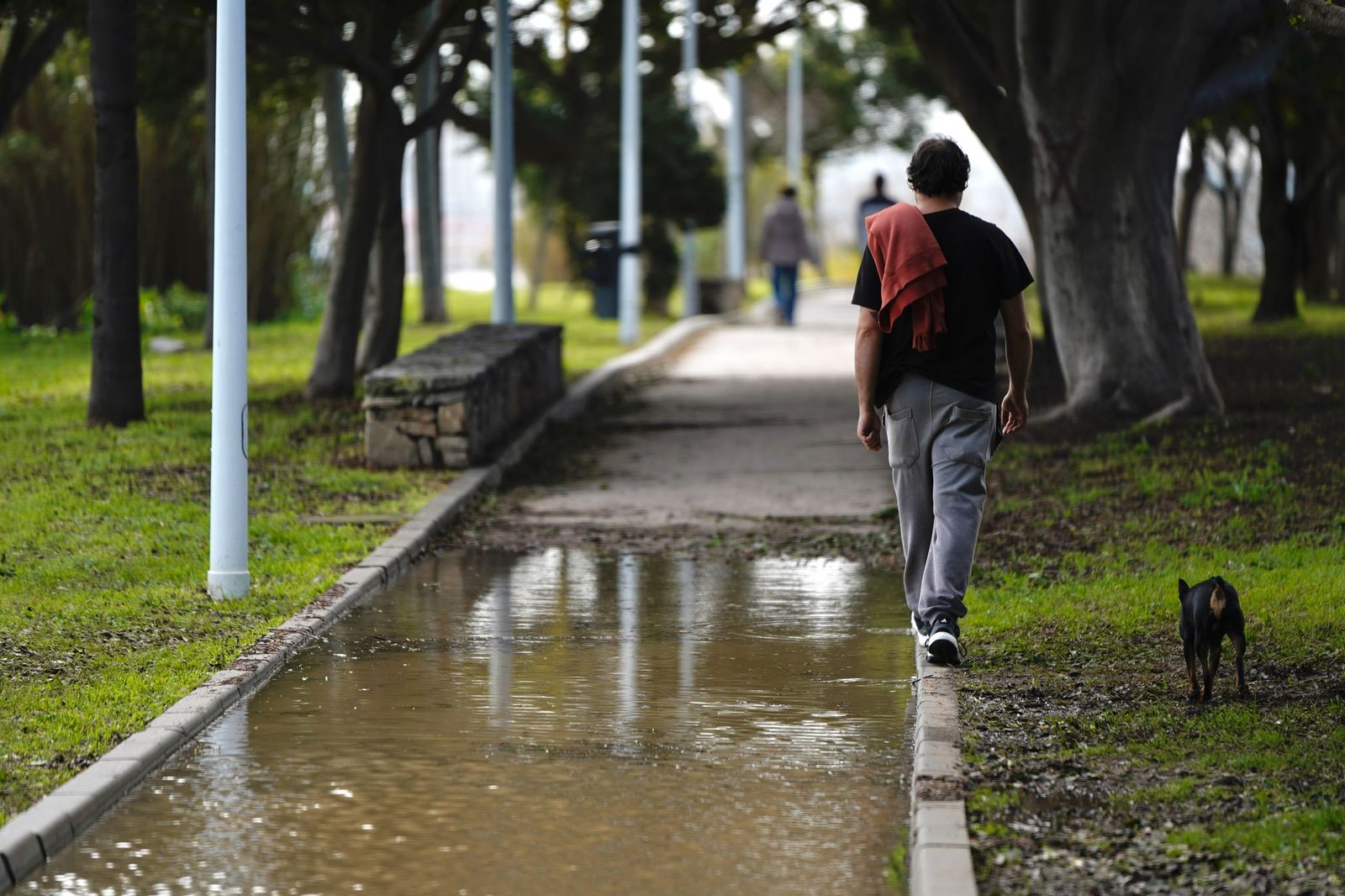 Una mañana en el paseo de la cornisa en Algeciras