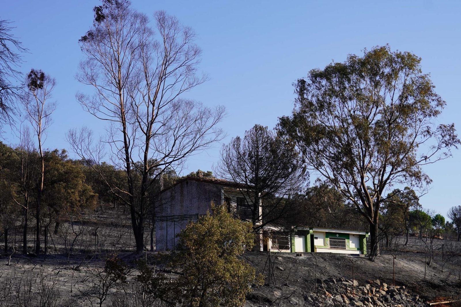 Zona del Calatraveño afectada por las llamas.
