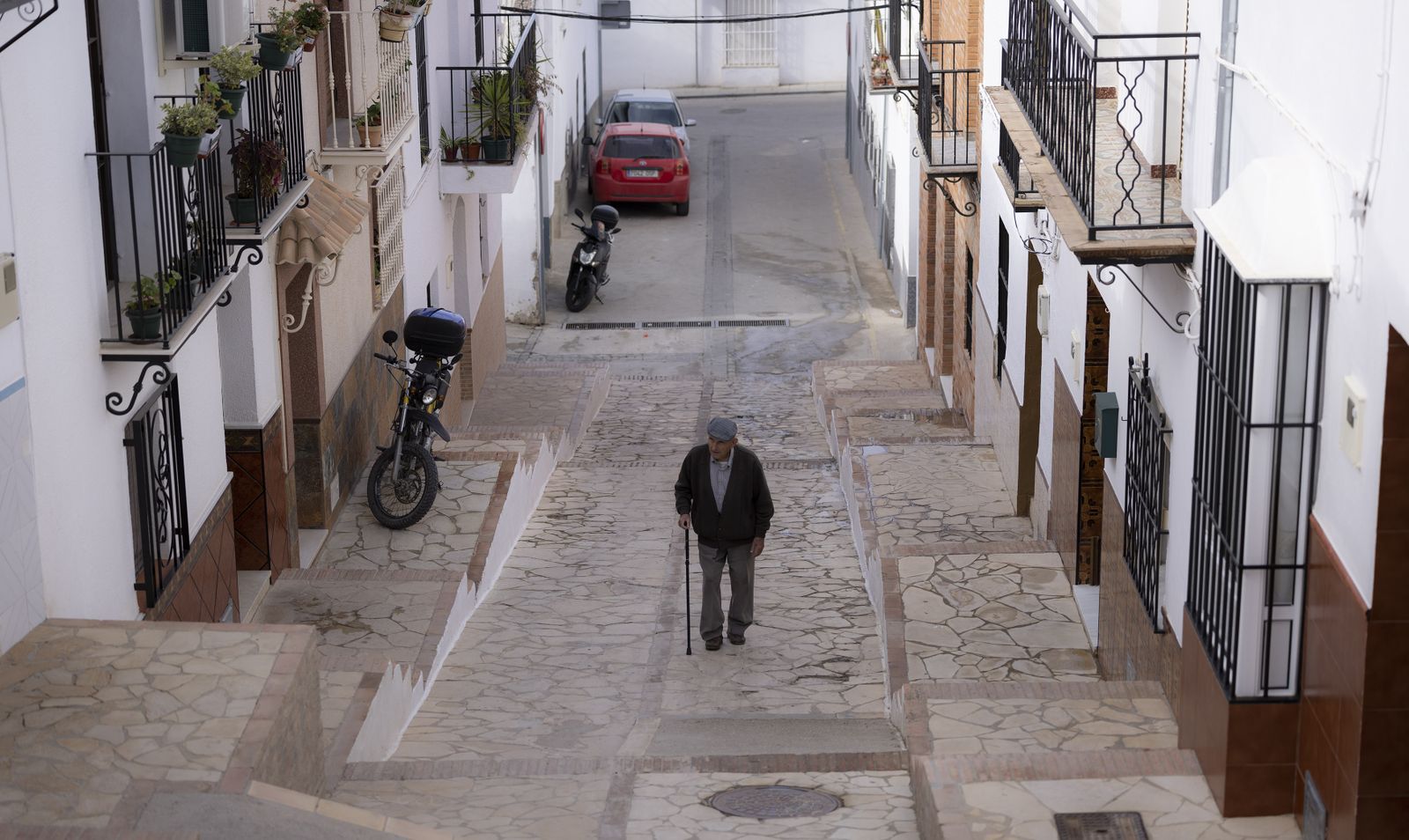 Pruna se rebela contra la droga, todas las imágenes