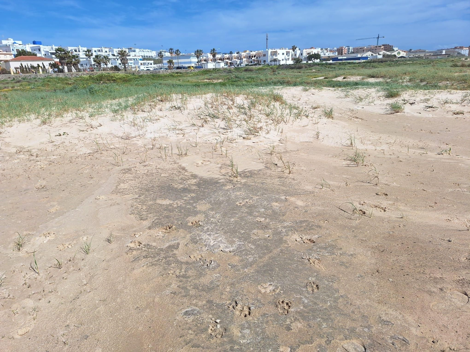 El vertido de aguas fecales en la playa de Los Lances de Tarifa, en imágenes.