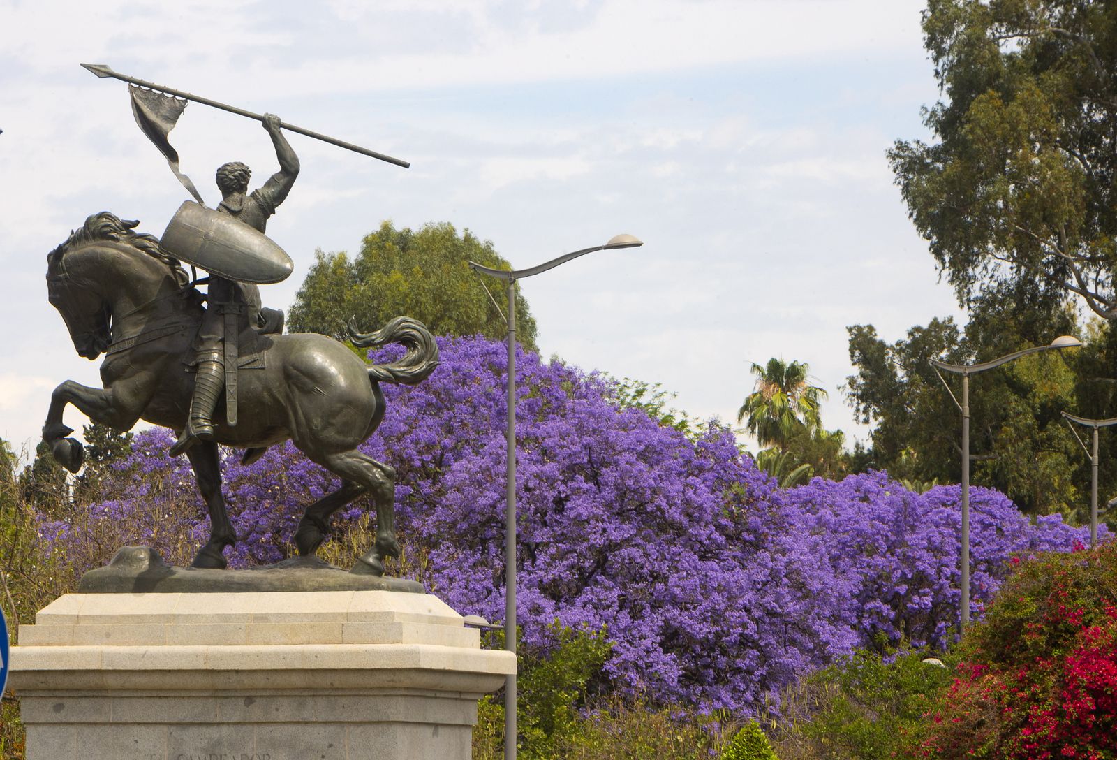 Las jacarandas vuelven a teñir de morado Sevilla