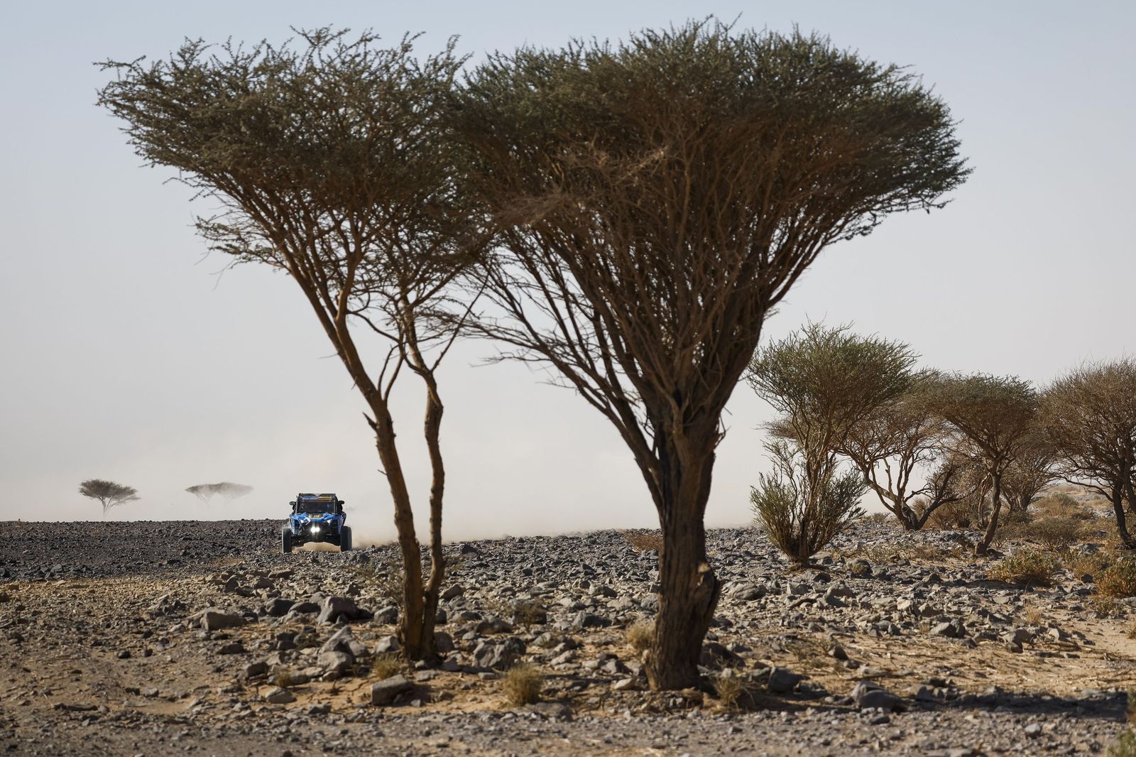 Las mejores fotos del Rally Dakar | Novena etapa