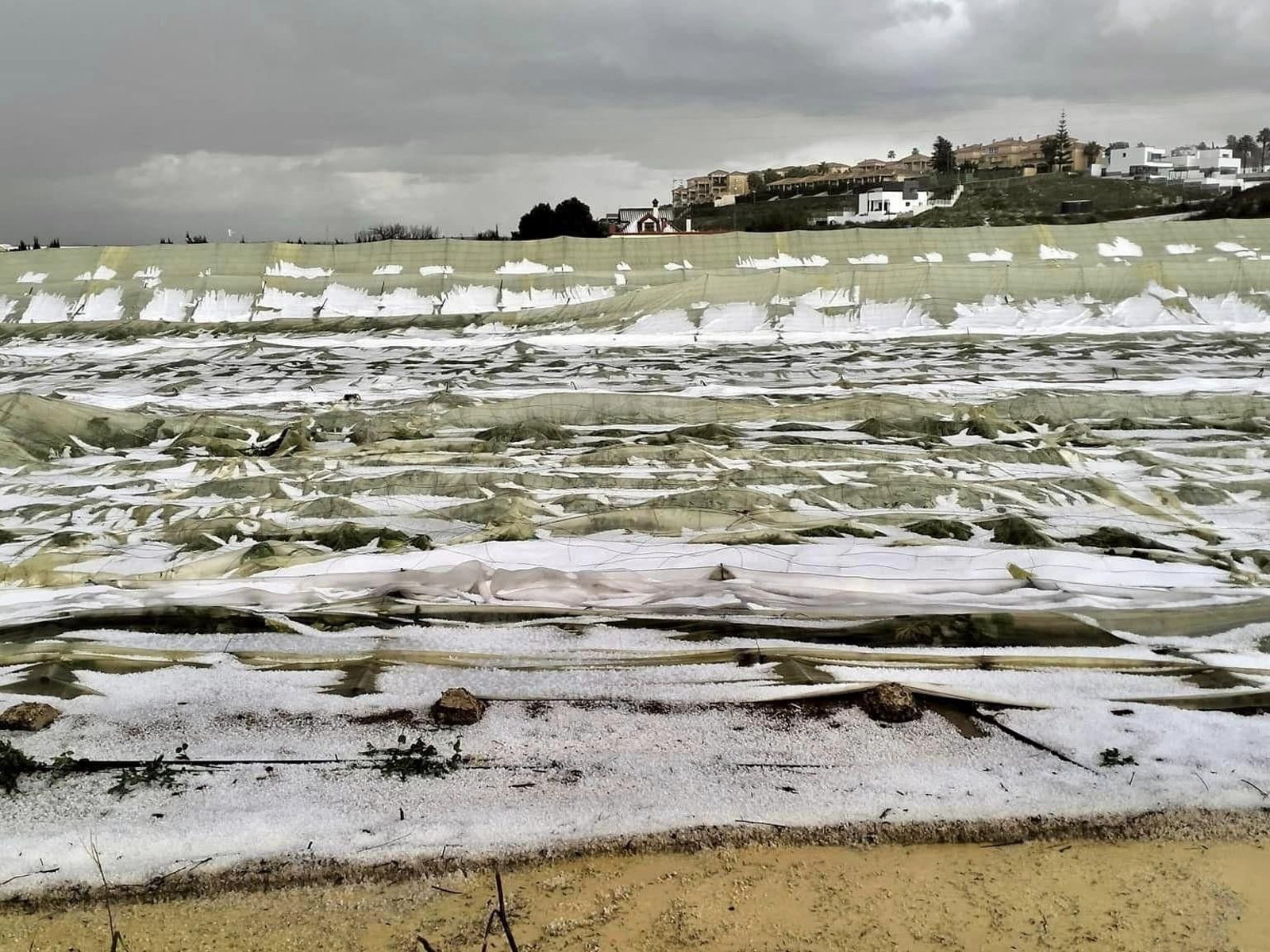 Uno de los numerosos invernaderos destrozados por la granizada que se registró en Sanlúcar este pasado martes.