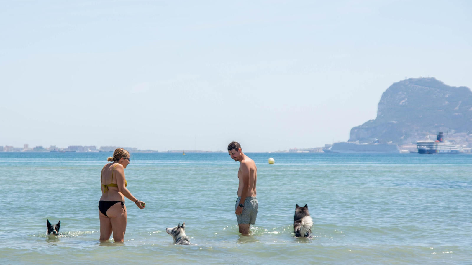 Una Tarde de perros en la playa