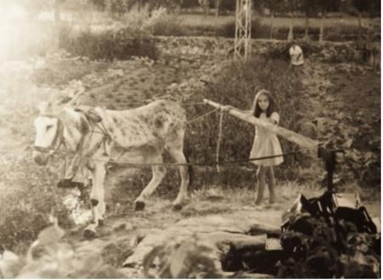 Una niña dirige al burro para extraer el agua