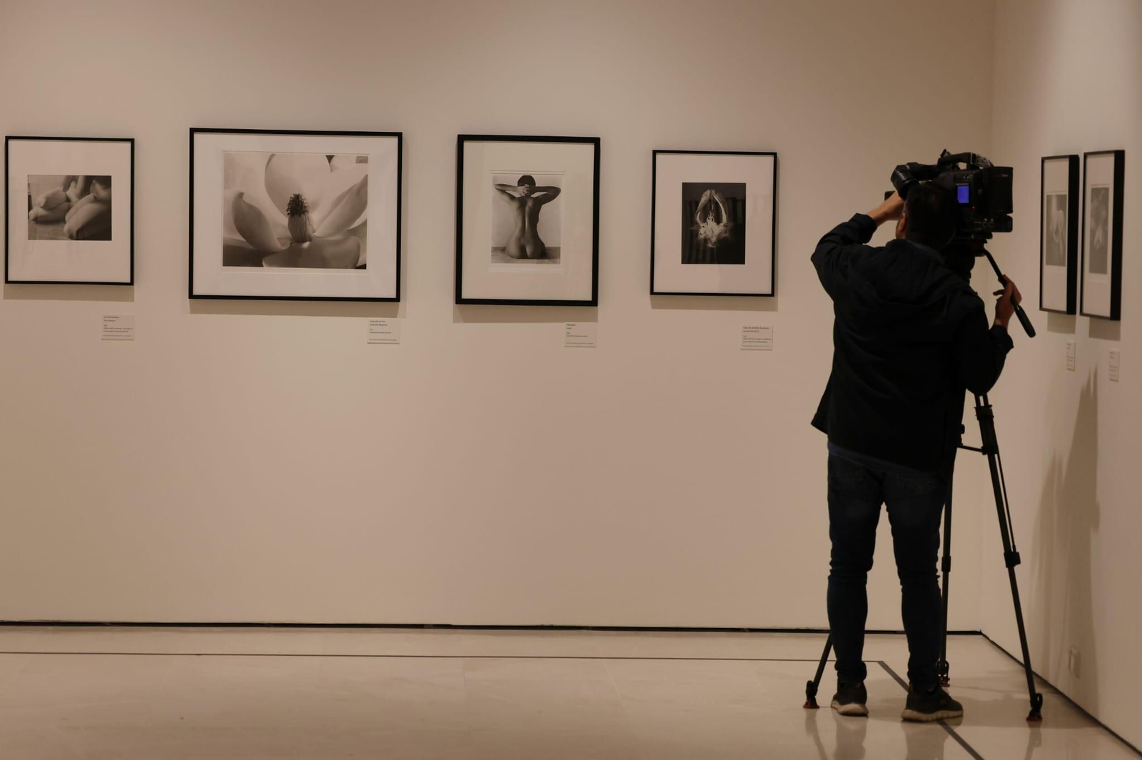 Cuadros de la nueva exposición del Museo Carmen Thyssen de Málaga