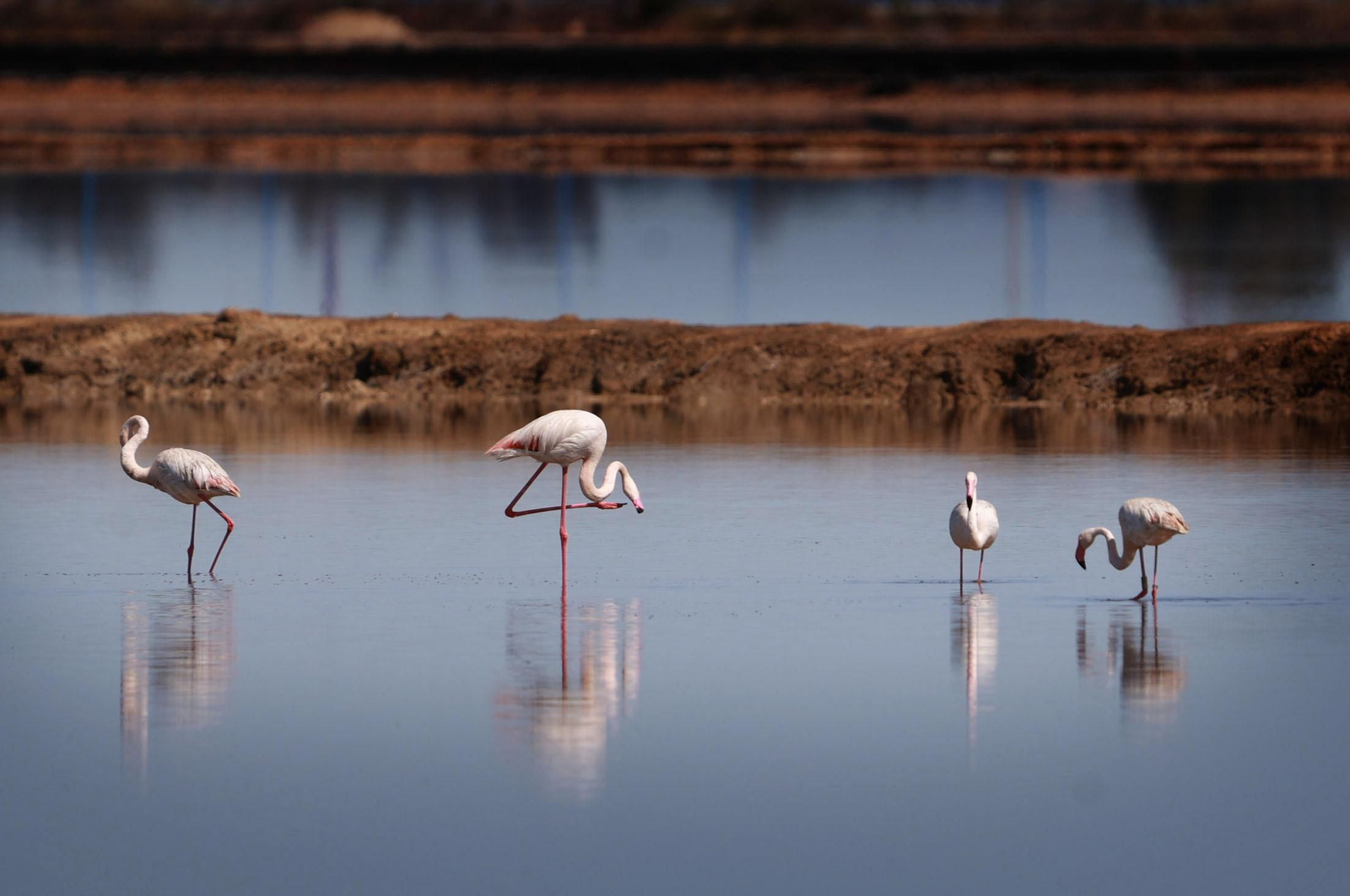 Imágenes del viernes 3 de mayo en Huelva