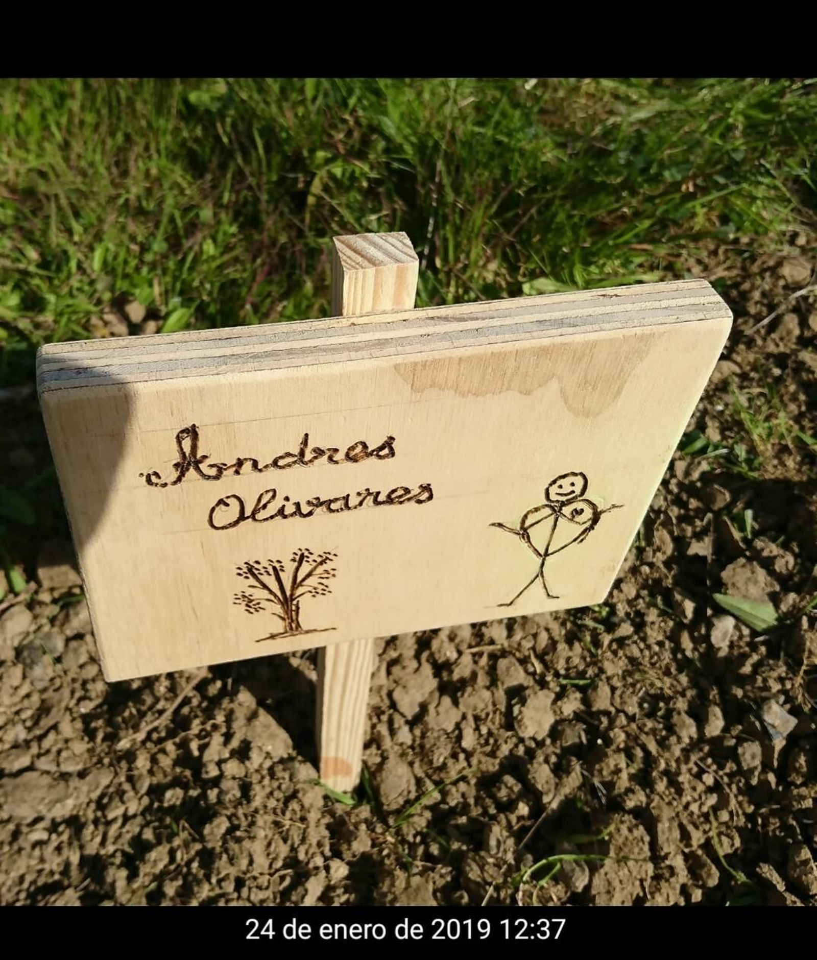 Uno de los carteles de madera colocados junto a un árbol.