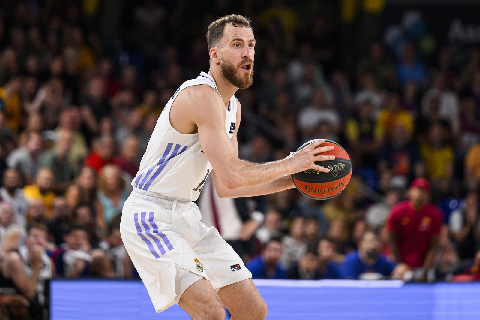 Sergio Rodríguez seguirá en el Real Madrid