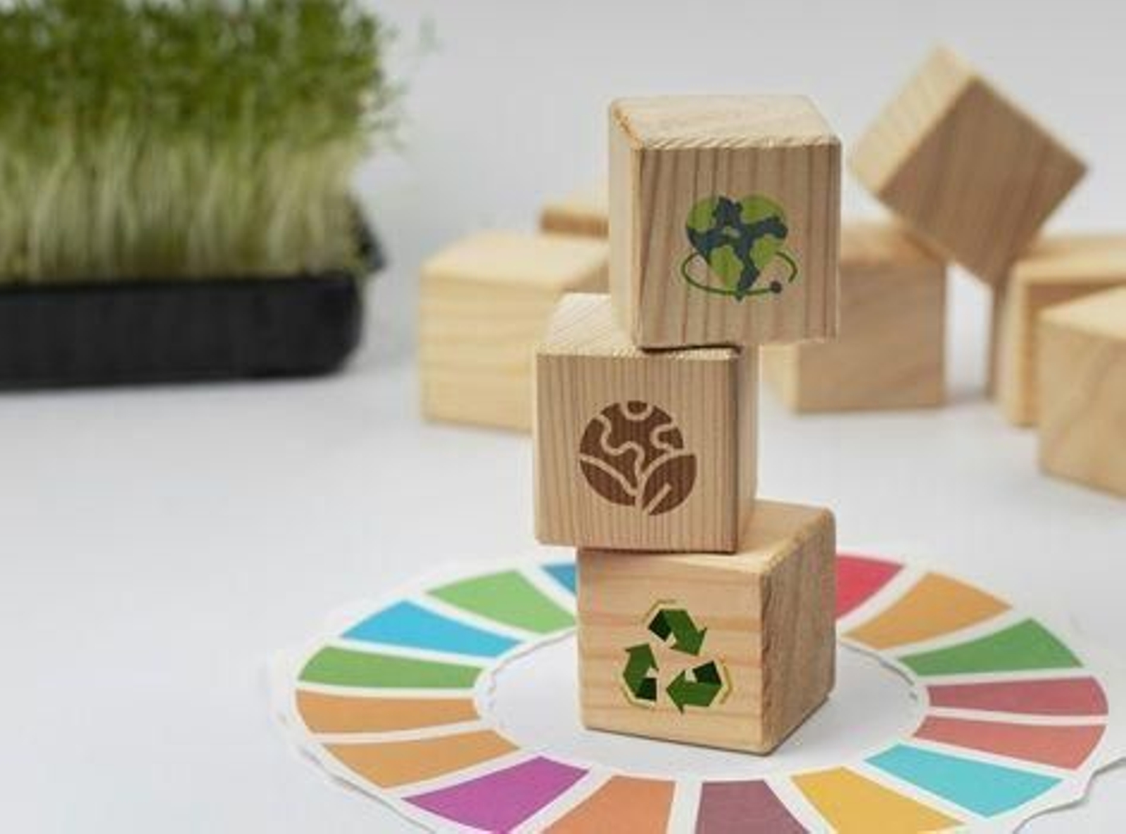 El estudio de la UAL analiza la Agenda 2030 en los pueblos de Almería.