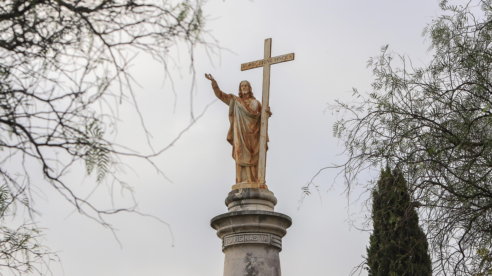Imágenes de la vendimia de Bodega Estévez