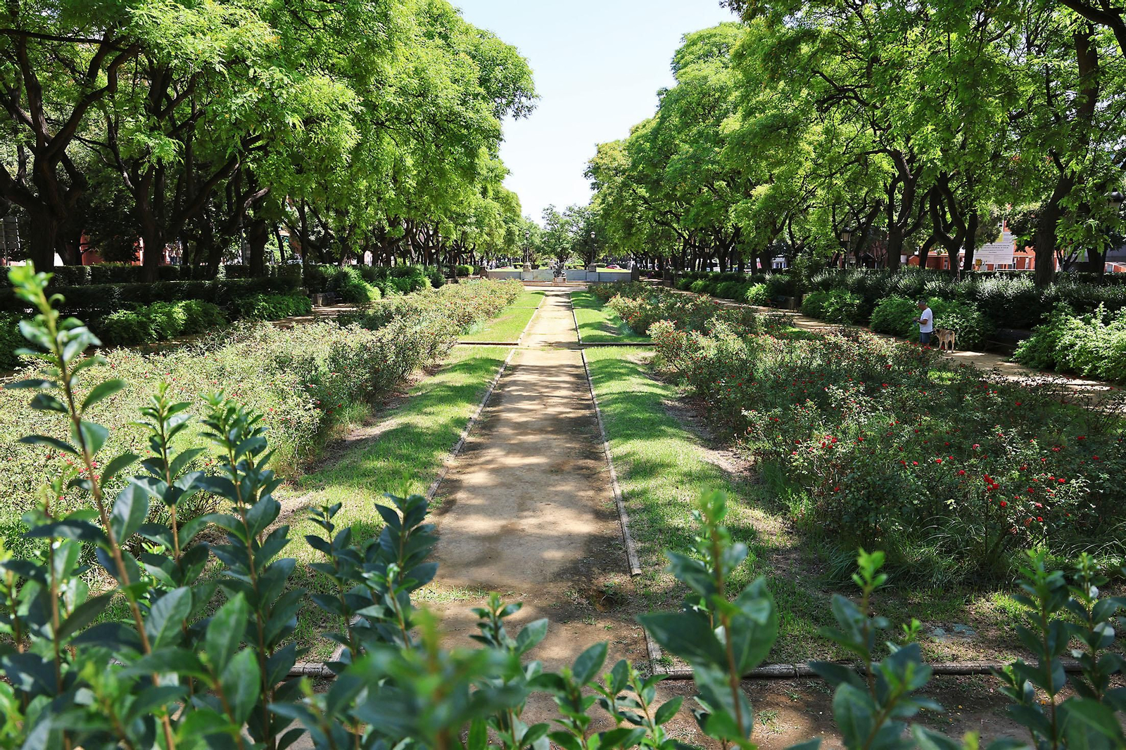 Imágenes de la Avenida de Andalucía en las mañanas de verano