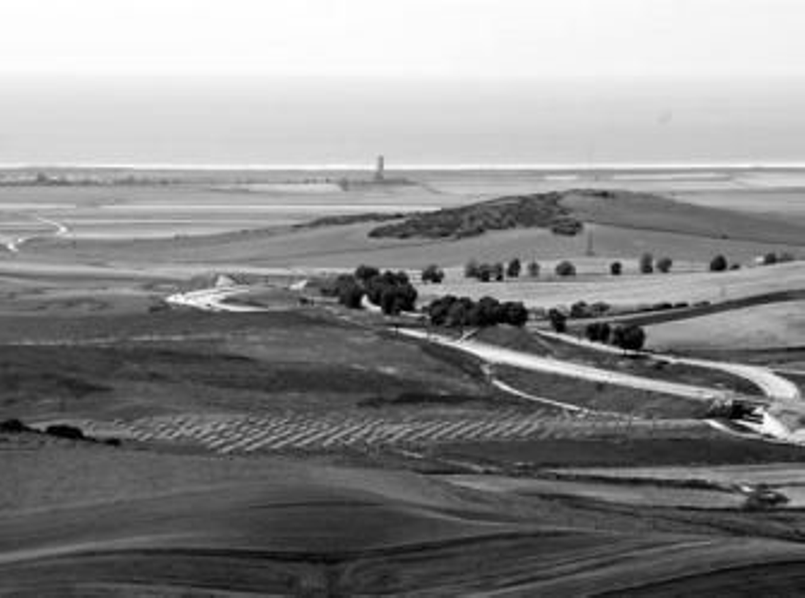 Montaje sobre cómo quedaría la zona con la instalación del huerto solar.