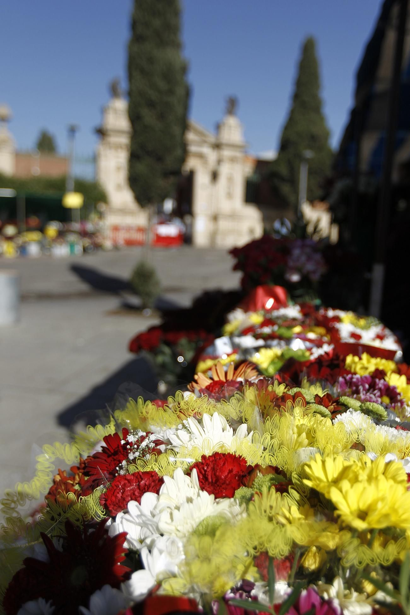 Fotogalería Día de Todos los Santos. Cementerio de San José. Almería