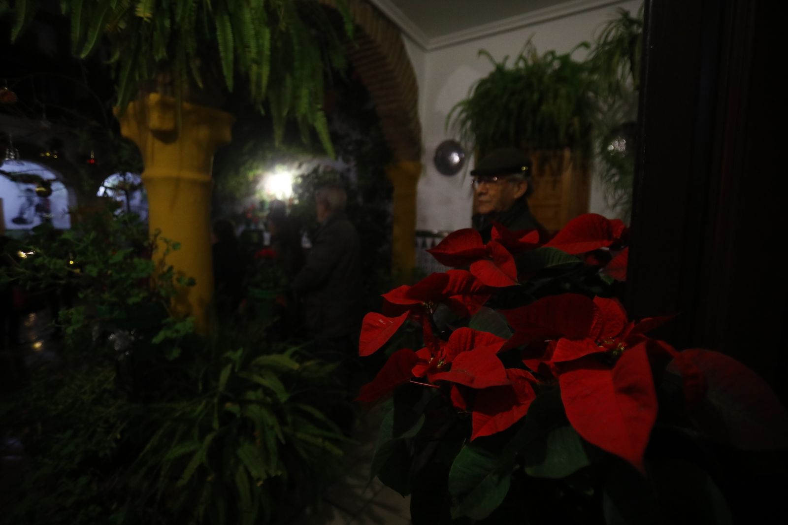 Los Patios de Córdoba abren por Navidad, en imágenes