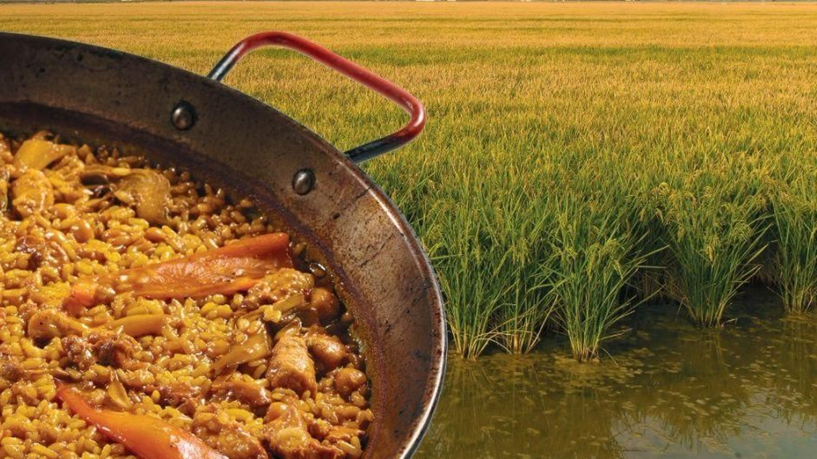 Concurso de Recetas Caseras de Arroz