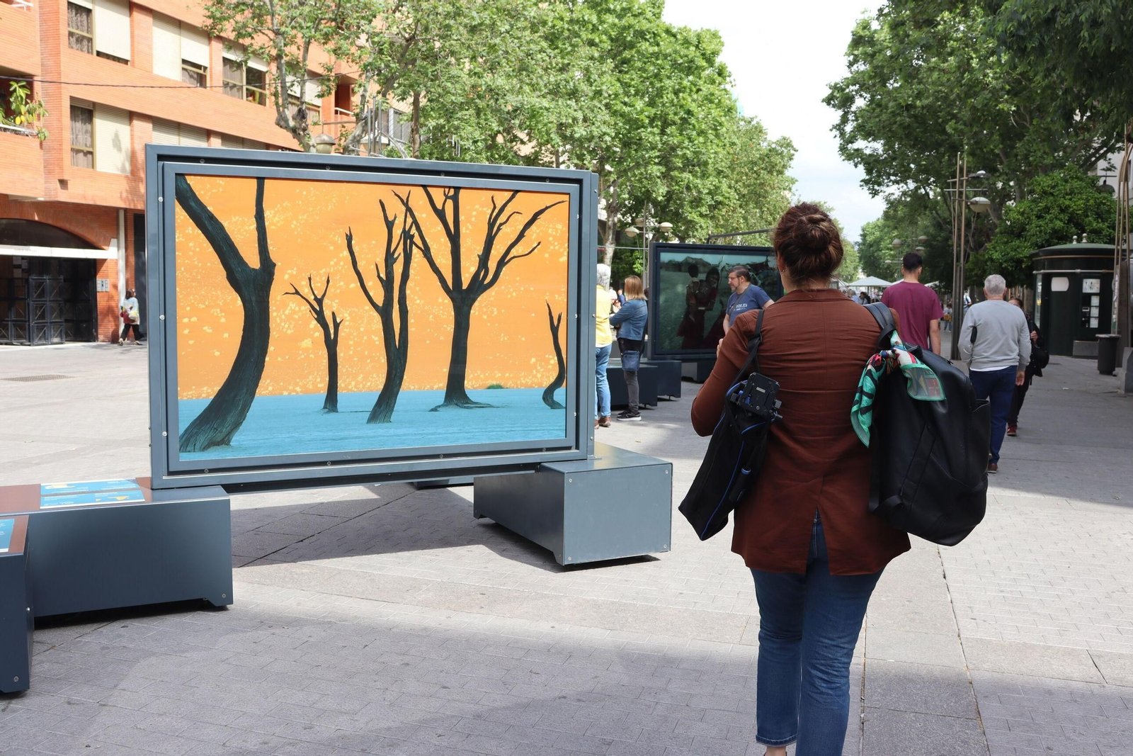 La exposición 'Colores del mundo', en imágenes